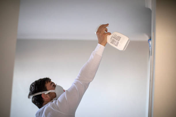 Best Home Mold Removal  in Dawson Springs, KY